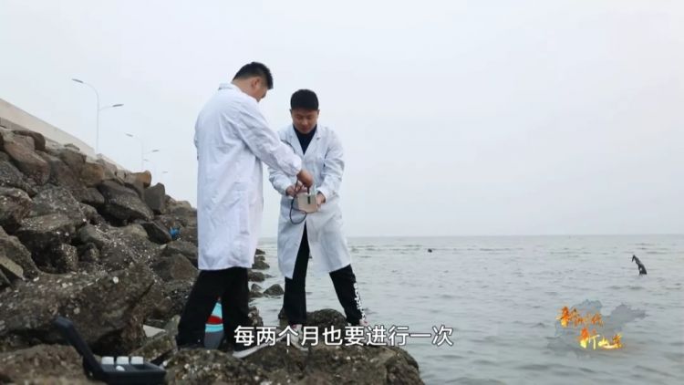 海陆并举严控污染物 &ldquo;湾长制&rdquo;让胶州湾水质持续改善